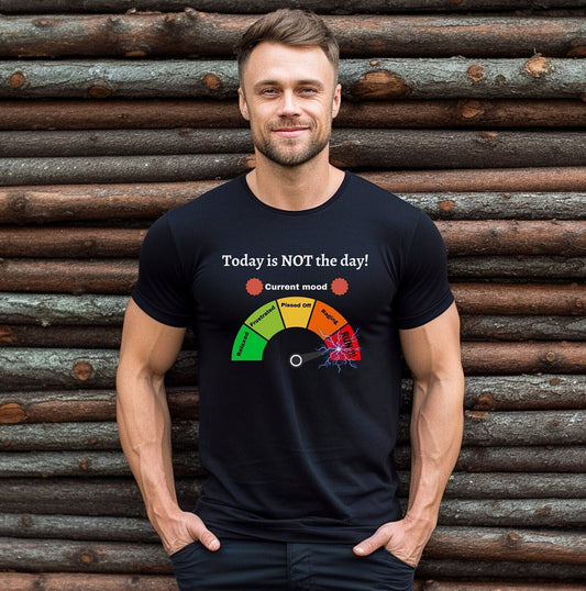 Current Mood Meter Shirt, Anger meter shirt, Today is not the day shirt, Gag mood meter shirt, Funny mood shirt, Funny Tee shirt, Joke shirt